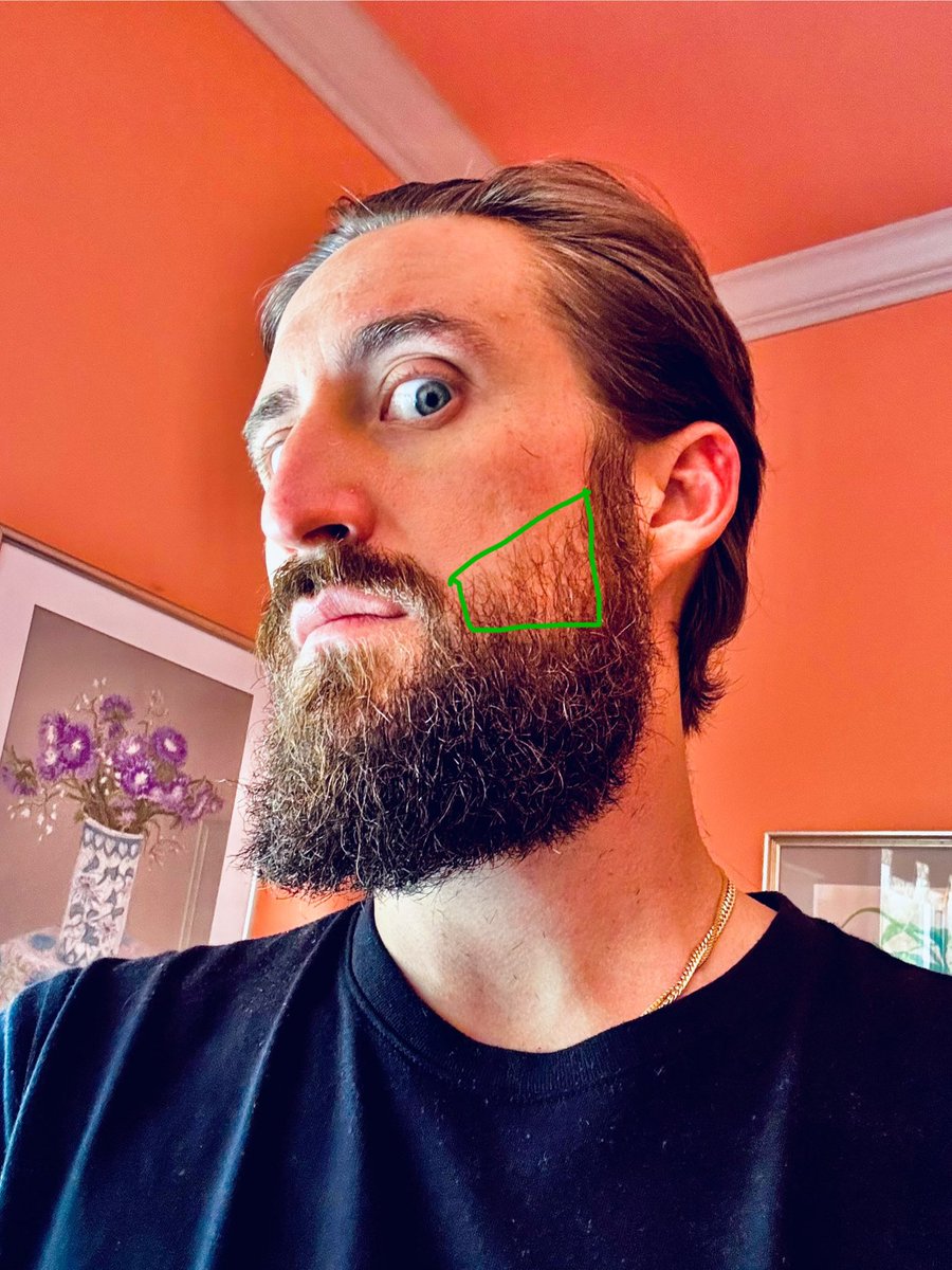 zacBAPE's tweet image. Goals.
🏆 beard line up to cheekbone
🚀 Launch beard oil oft 31
🌙 Launch new collection Oct 31
⭐️ $250k MC
💰 $100k LP
😮 The #1 LP/MC ratio coin on XRPL
💣 Employ community members as brand ambassadors for beard products
💥 Plug LP with new revenue stream
@BASocietyXRP