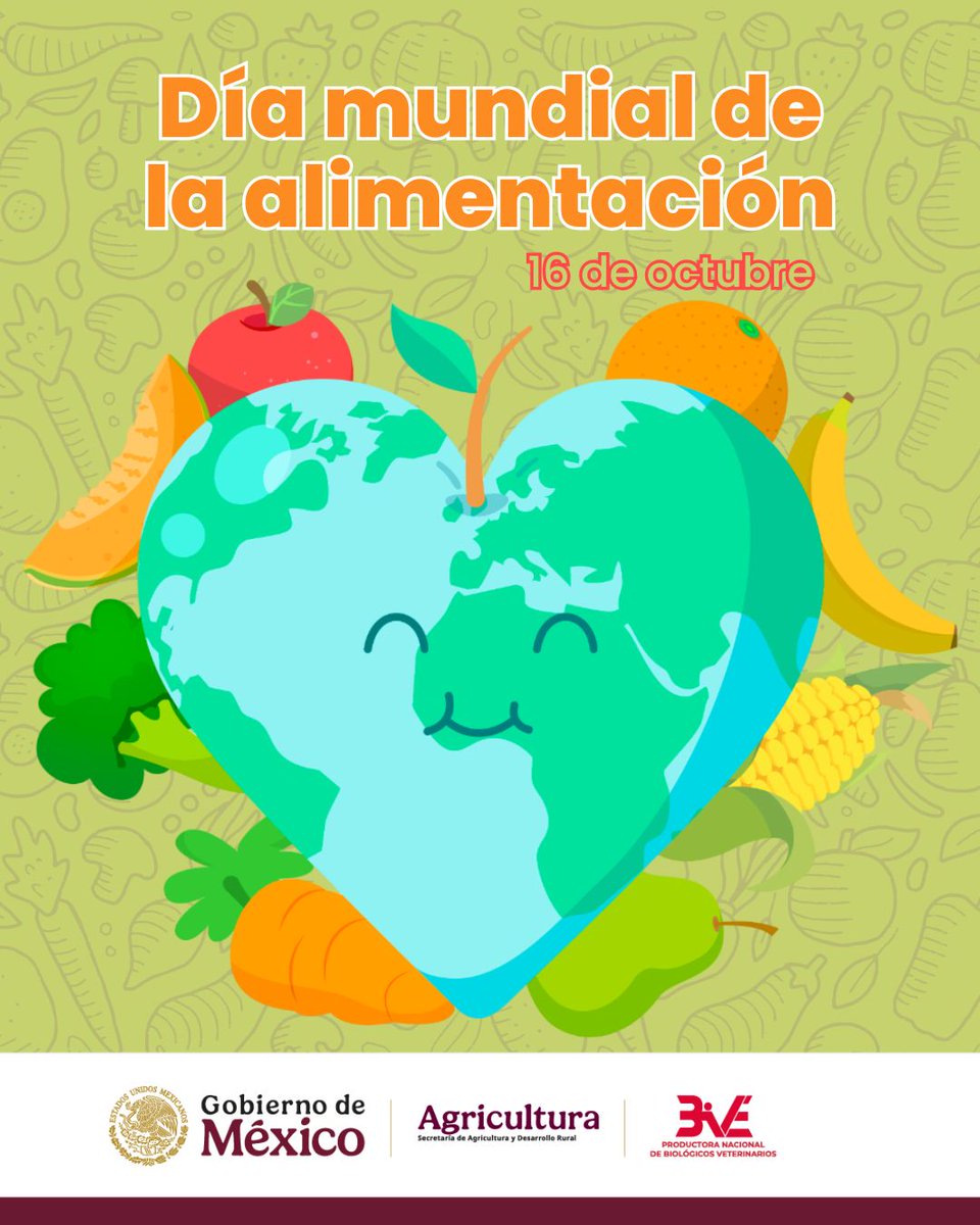 PRONABIVE's tweet photo. #DíaMundialdelaAlimentación 
La producción de alimentos de origen pecuario comienza con la salud animal.
En PRONABIVE contribuimos a mantener hatos sanos mediante el diagnóstico y la prevención de enfermedades que afectan al campo mexicano. https://t.co/ebTt1LQqzH