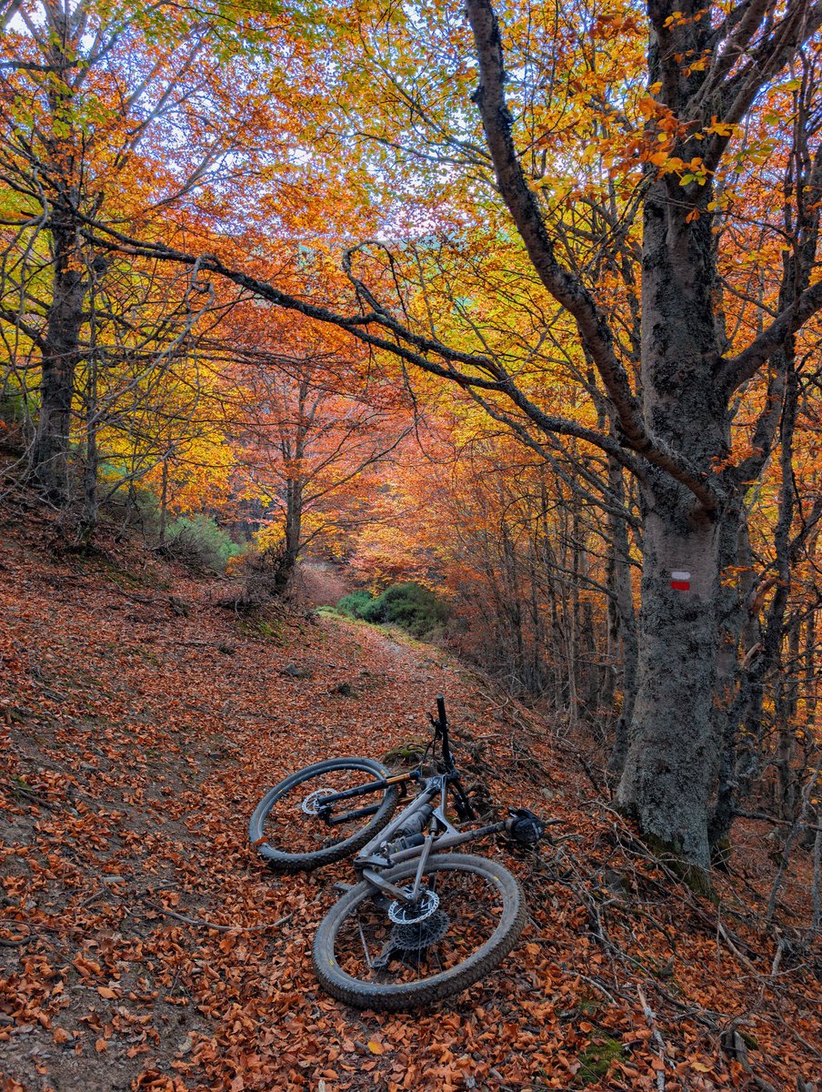 amantes_cycling's tweet photo. Una tarde de otoño sobre la Mountain Bike.... https://t.co/Xgp5BvP3C2