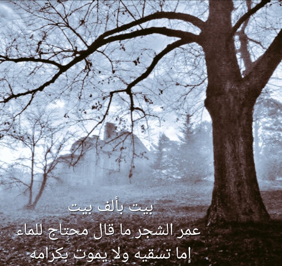 abdullah4990's tweet photo. https://t.co/261tZGqqJq