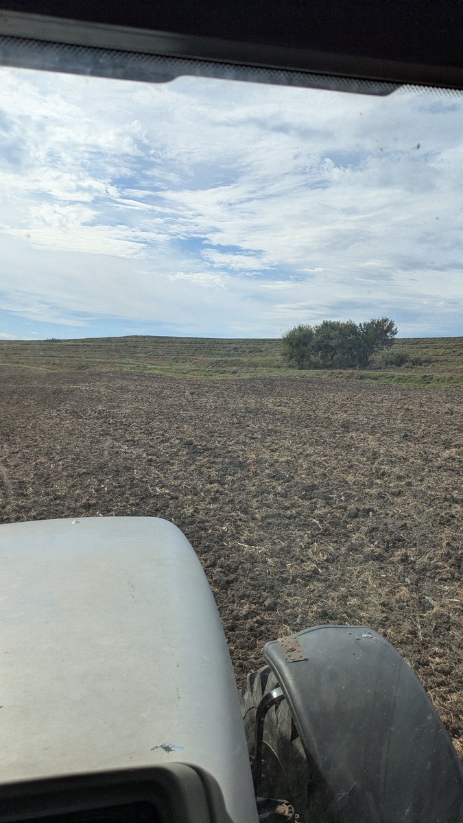 There is no Dane there is only Zuul tweet media