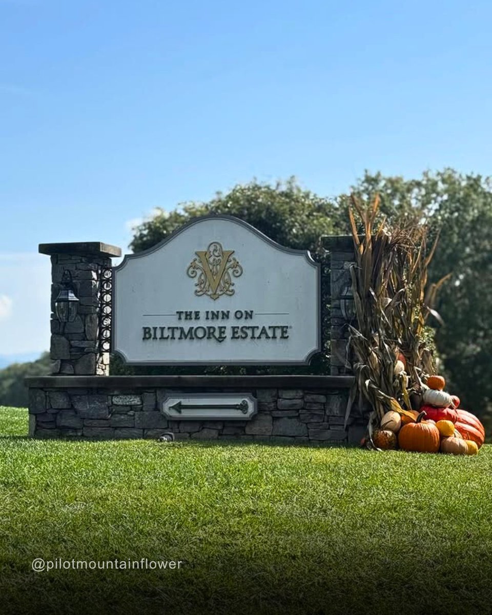BiltmoreEstate's tweet image. 🍁 Embrace the crisp mountain air, then retreat to unparalleled gracious hospitality at The Inn on Biltmore Estate.

Secure your autumn getaway now: bit.ly/3WqbU90

#Biltmore #StayatBiltmore #FallColor #BlueRidgeMountains