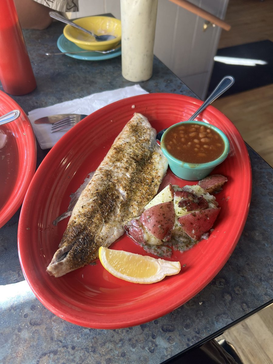 #白貂今天吃什么 依旧是苏必利尔湖鲜。盐烤高白鲑、walleye洋葱圈、蒜香面包蘸蓝蟹洋蓟酱、炸蟹角。