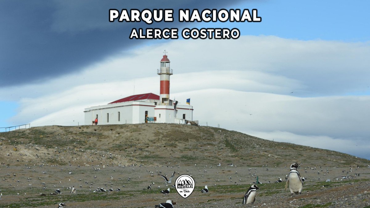𝐏𝐚𝐫𝐪𝐮𝐞 𝐍𝐚𝐜𝐢𝐨𝐧𝐚𝐥 𝐈𝐬𝐥𝐚 𝐌𝐚𝐠𝐝𝐚𝐥𝐞𝐧𝐚
🗣️ Se encuentra en la Región de Aysén y es un área natural protegida en Chile y declarada Parque Nacional en 1983.
Quieres saber más información, visita
🌐 chilemaravillas.cl/parques_nacion…
---
#Chile #SurdeChile #ParqueNacional 🇨🇱