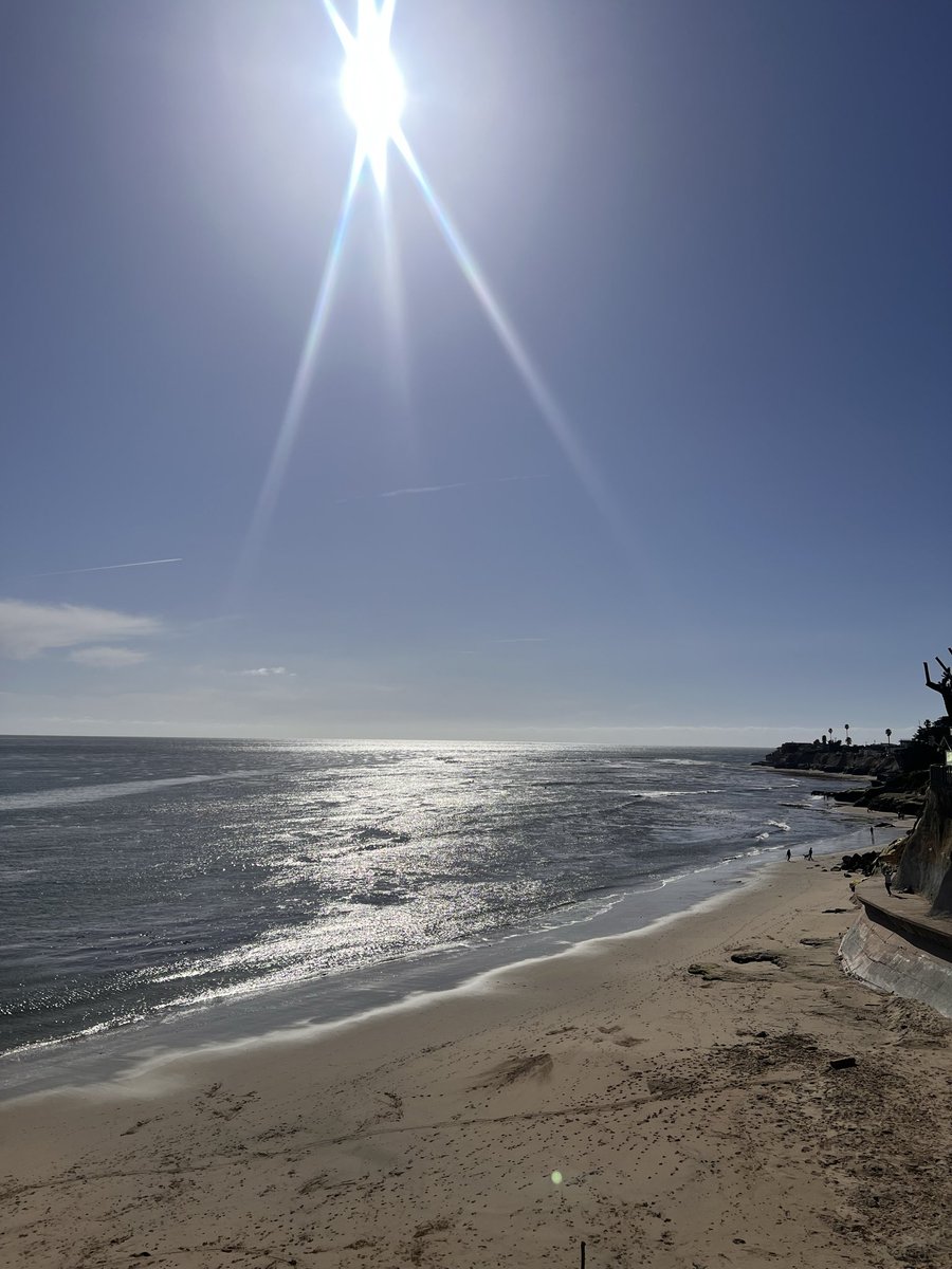 DanHammin tweet media