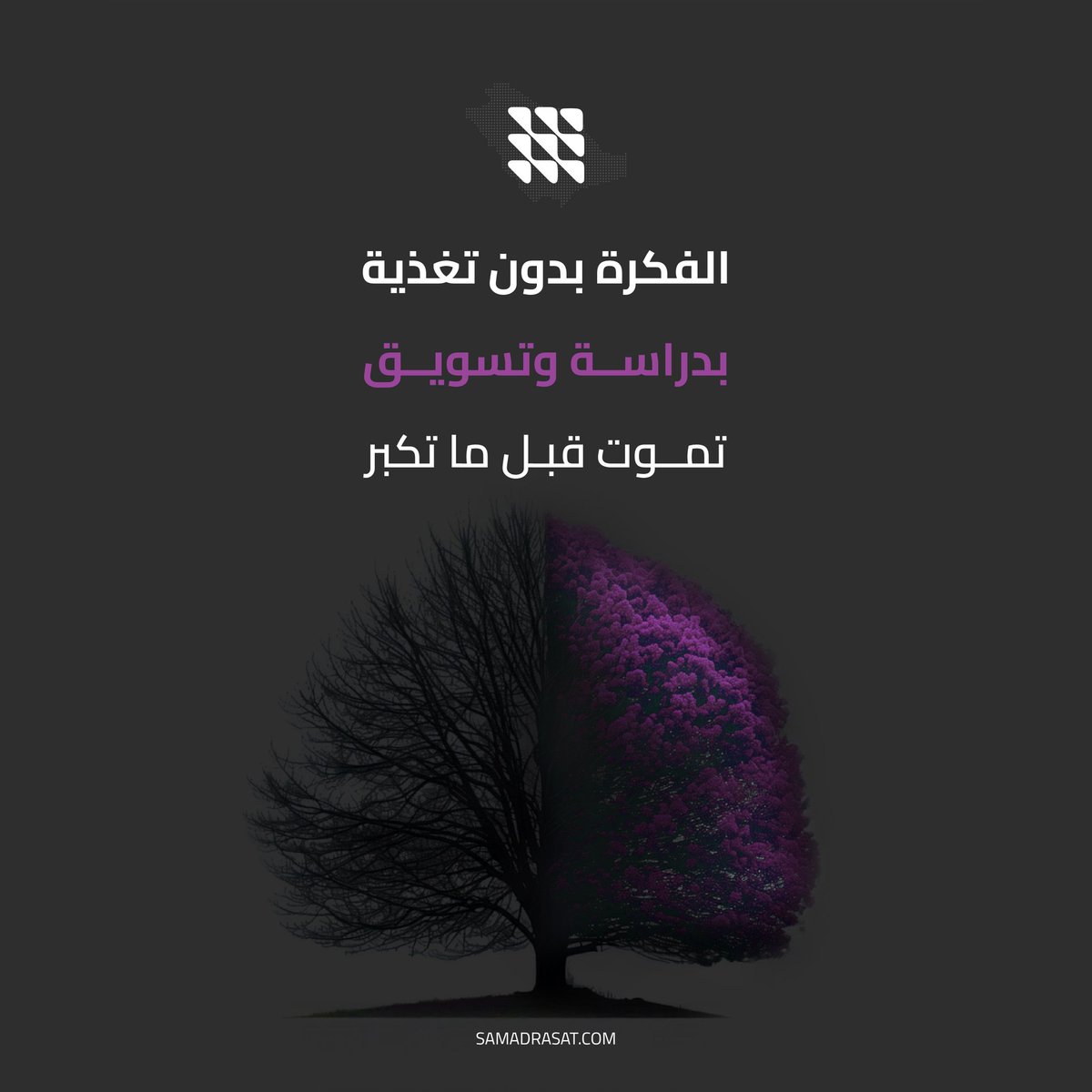 samadrasat_'s tweet image. الفكرة مثل الشجرة…
إما تغذيها بدراسة وتسويق فتخضر 🌿
أو تتركها تموت قبل تكبر 🍂.
وين حاب تشوف مشروعك؟