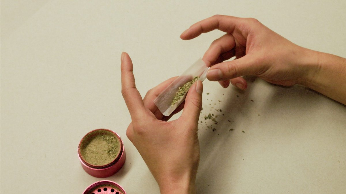 Fernanda Pires tweet media