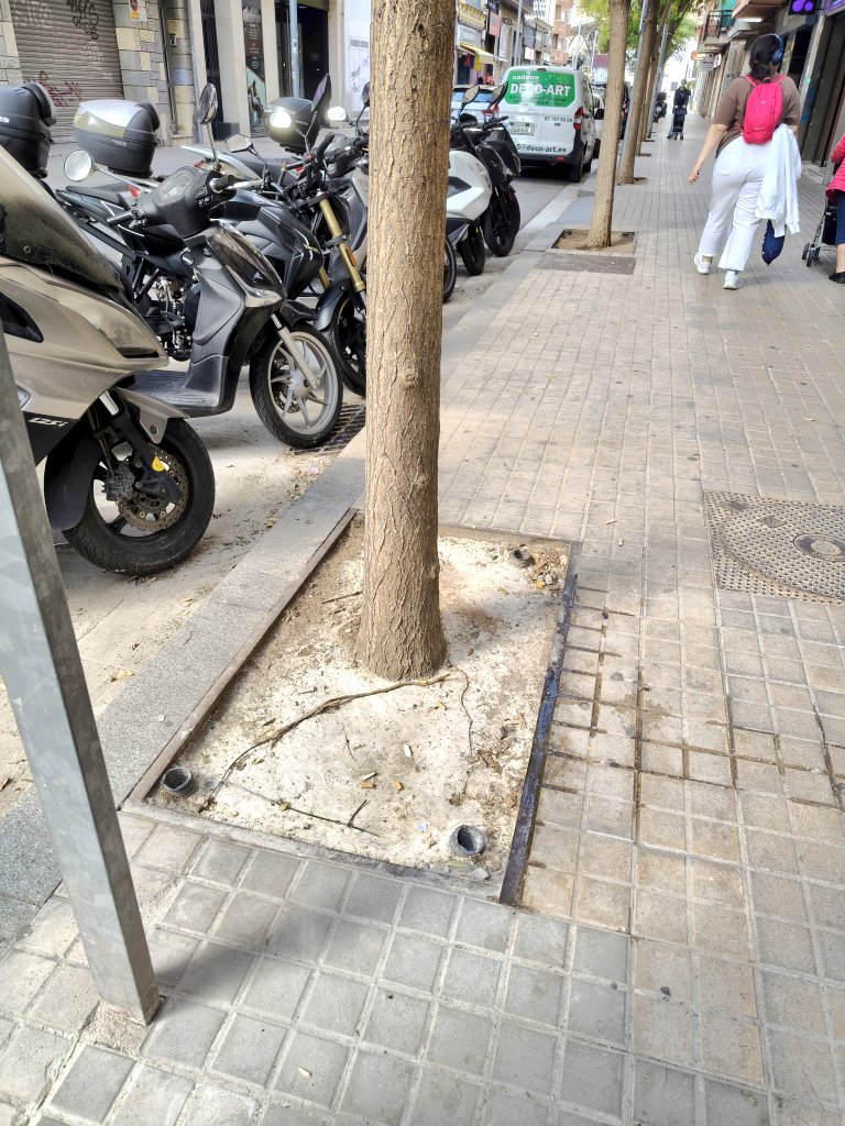 La Marea Verde Sant Adrià de Besòs tweet media