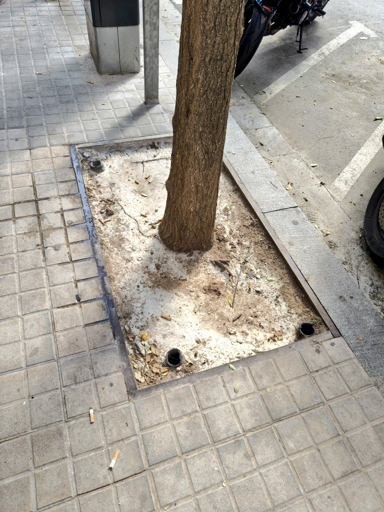 La Marea Verde Sant Adrià de Besòs tweet media