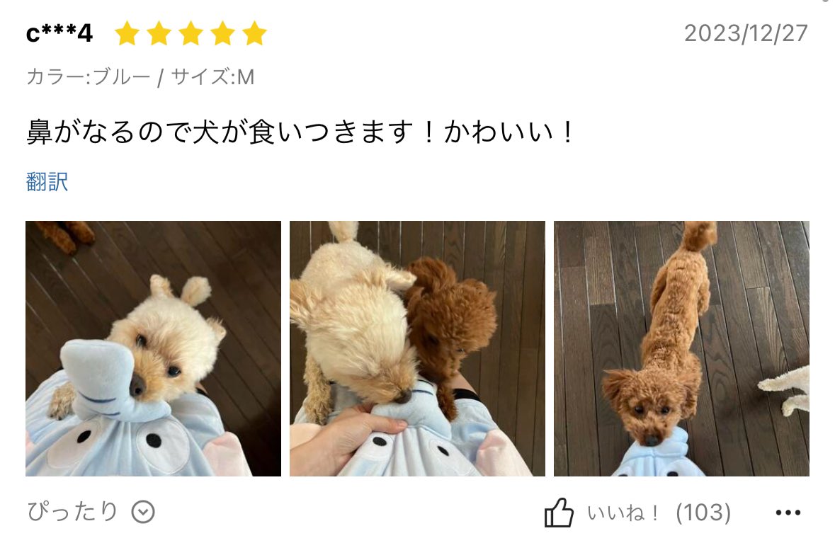 SHEINで「誰が買うねん」と話題になったズボンとコメント