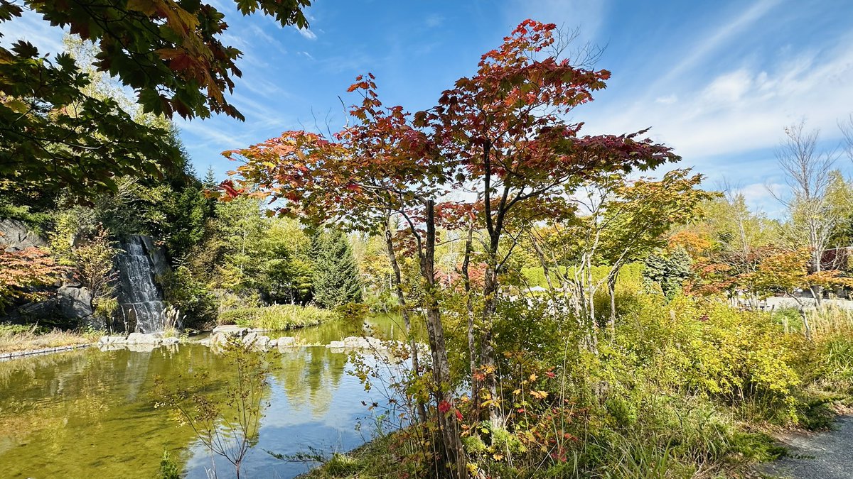 おはようございます☁️
滝野すずらん丘陵公園　札幌市
#おはおやバイク