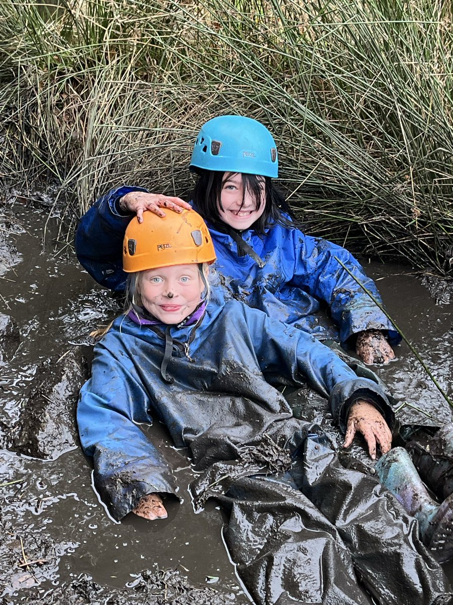 Y6OPS tweet media