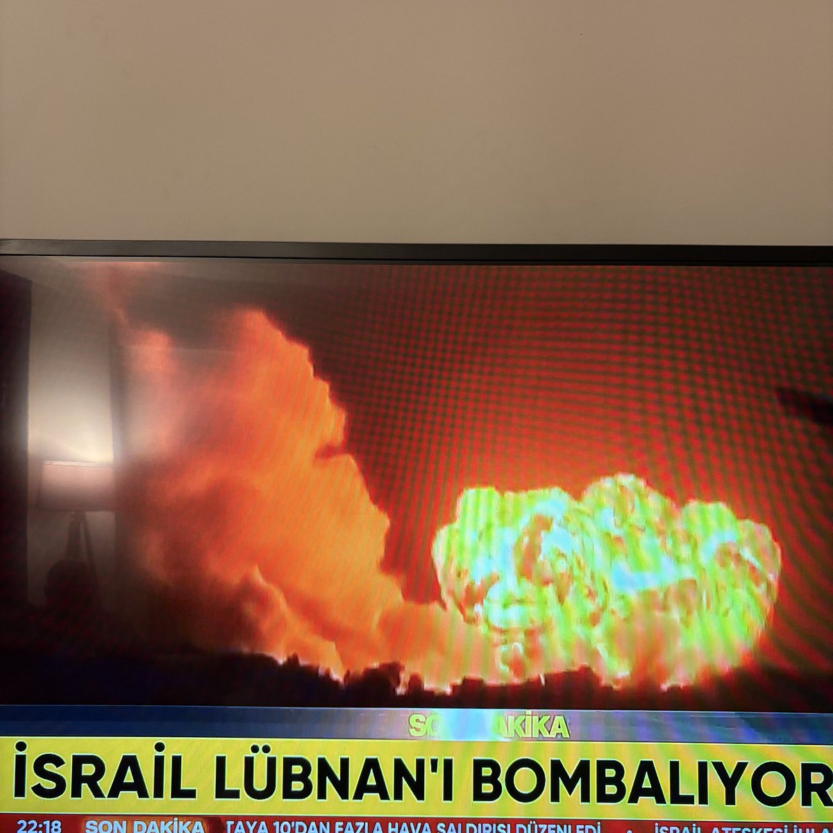 Niobe Aslı Temel tweet media