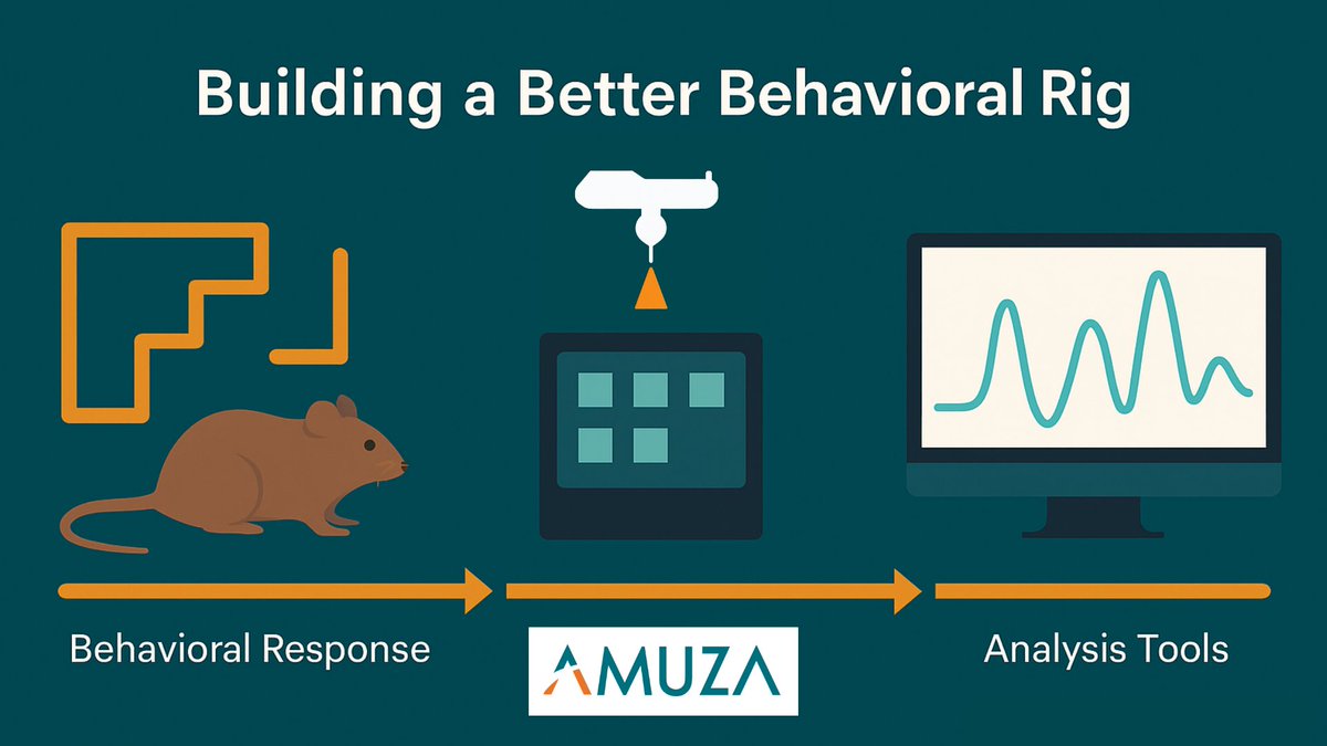 AmuzaInc's tweet image. Every behavioral setup tells a story, from task control to neural recording.

Amuza systems integrate tools like wireless optogenetics, fiber photometry, and operant chambers for reproducible results.

🔗 bit.ly/493gyRS

#Neuroscience #LabTech #BehavioralResearch