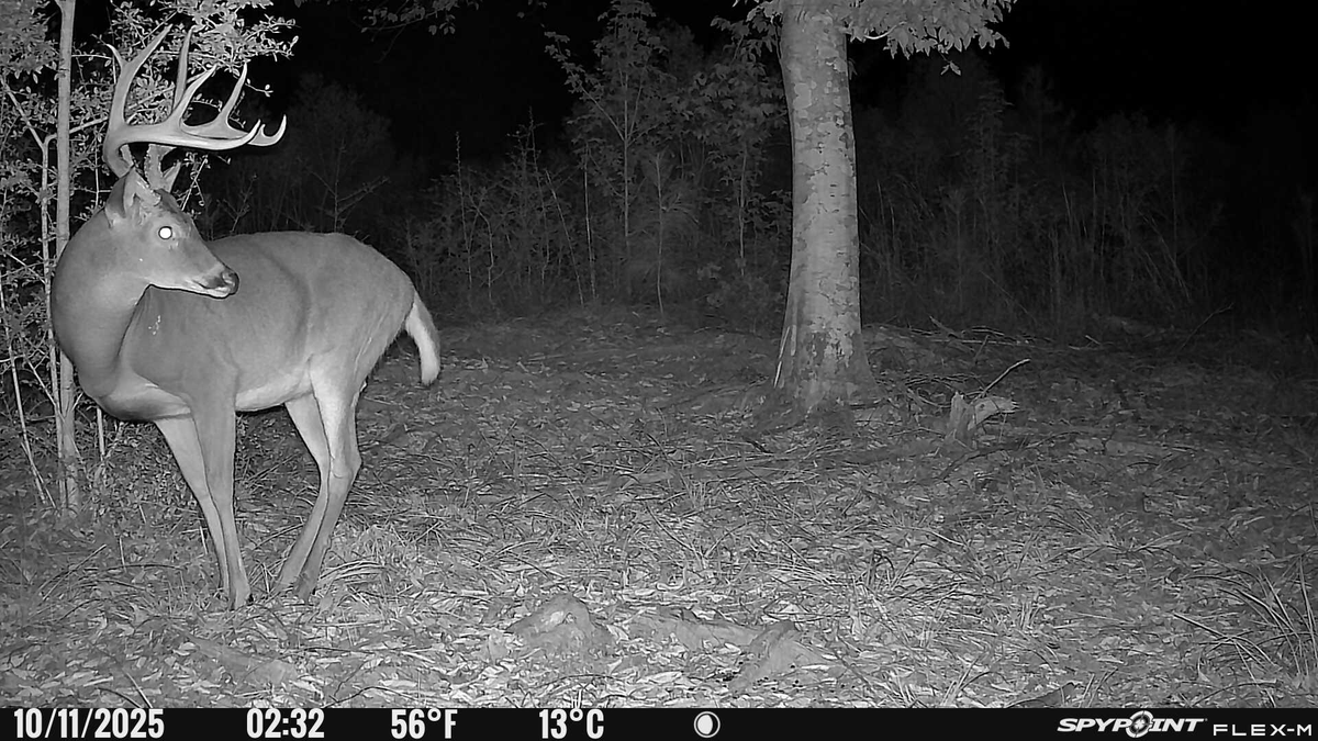 SPYPOINT Trail Cameras tweet media