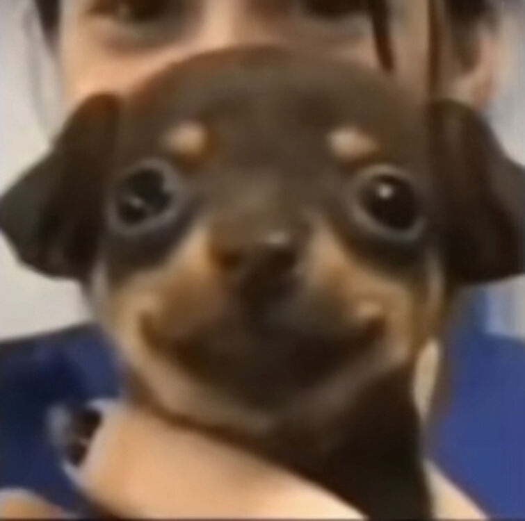 LizzCoding's tweet image. Fico feliz de, mesmo sendo hetero, ser convidado pra rolê com uma amiga e as amigas dela