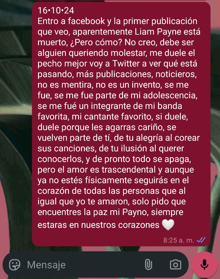 Ale_CortMi's tweet photo. Siempre estarás en mi corazón @LiamPayne 🤍 https://t.co/EIhiIydt4f