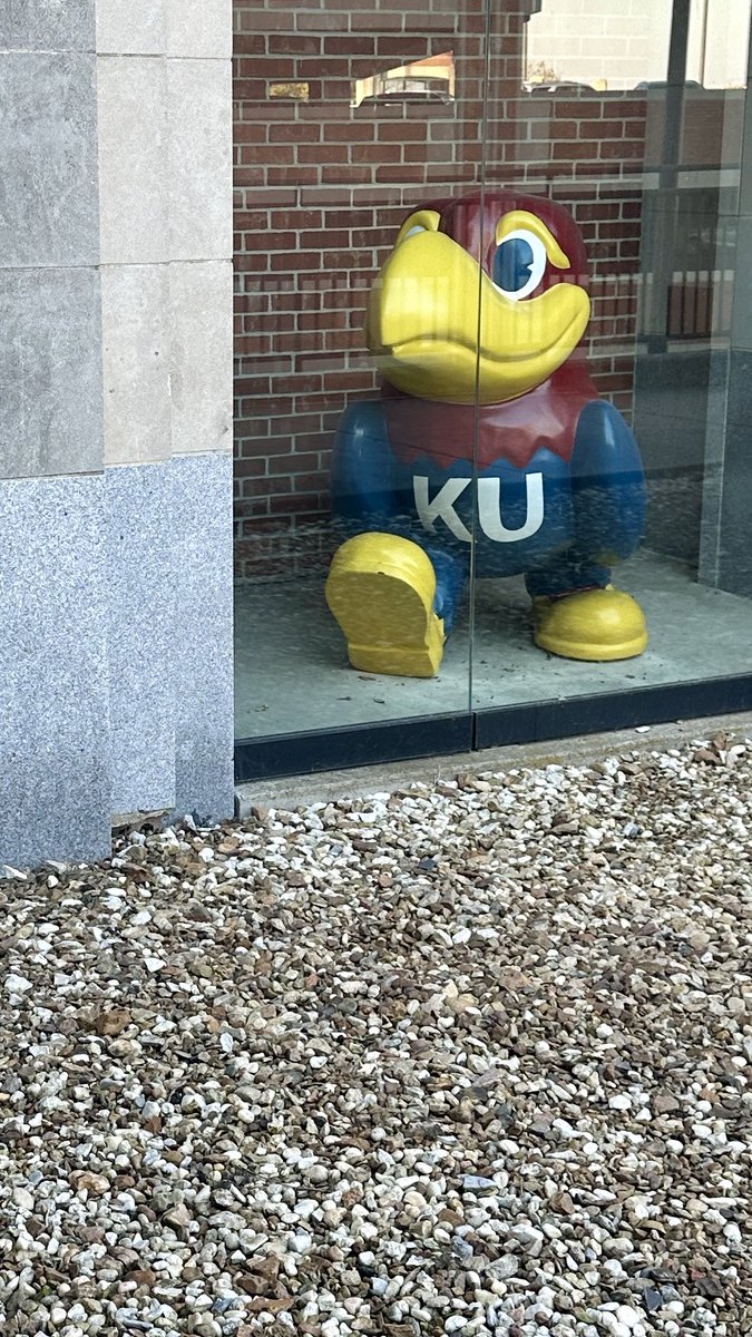 Brit Stack tweet media