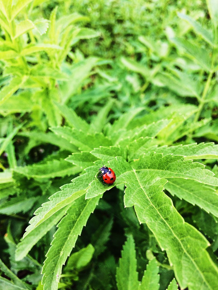 𝕎𝕆𝕆𝔻 (@wood_el_b) on Twitter photo 