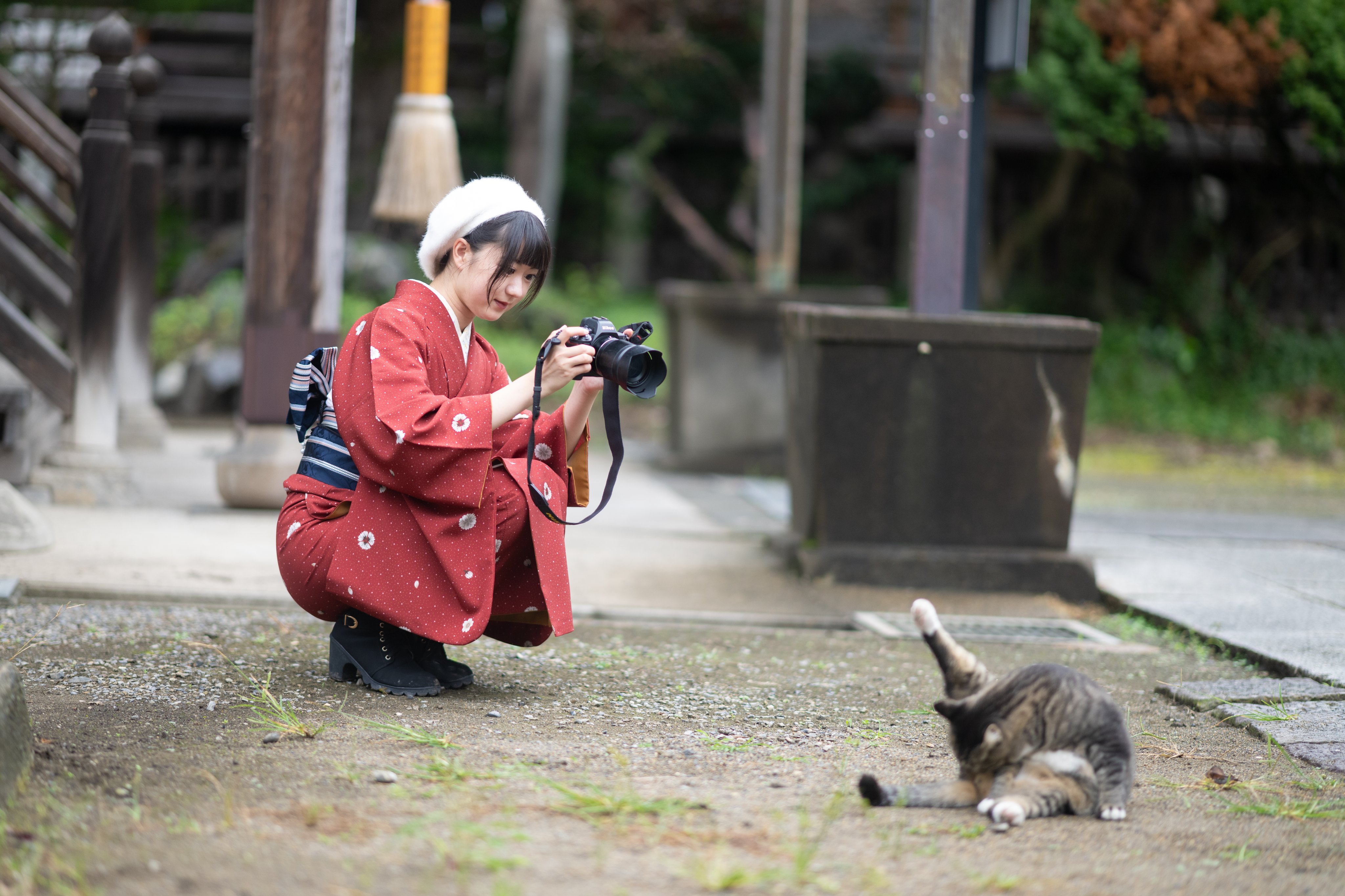 留姫 写真のAとT image.jpg