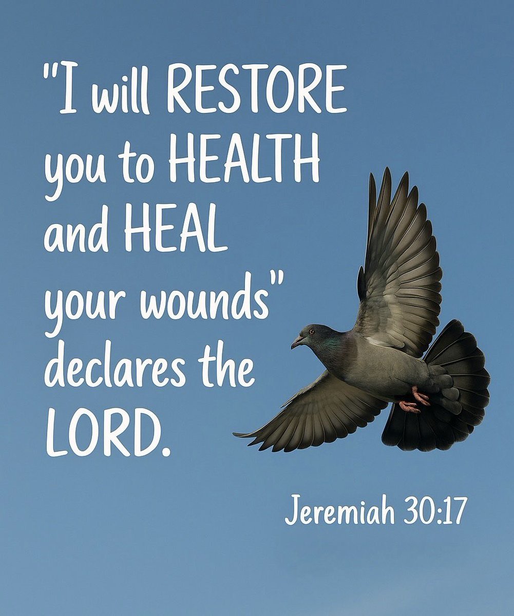 Teresa42254207's tweet image. Ref Matthew 8:7 And Jesus said unto him, I will come and heal him.K.J.V.🙏🙏