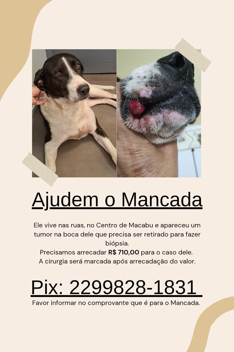 amigosdosonso's tweet image. 🚨 PEDIDO DE AJUDA URGENTE 

Faltam R$ 600,00

Quem puder ajudar com qualquer valor, agradeço muito.
