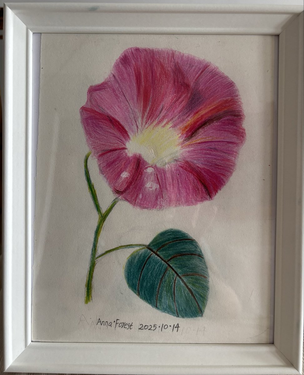 canadaallaboutnature.etsy.com/listing/438807…