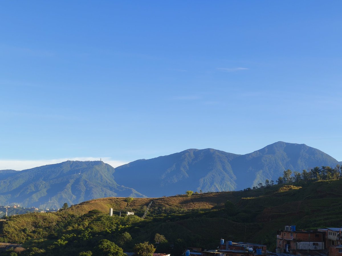 Isidro Nando Pestana tweet media