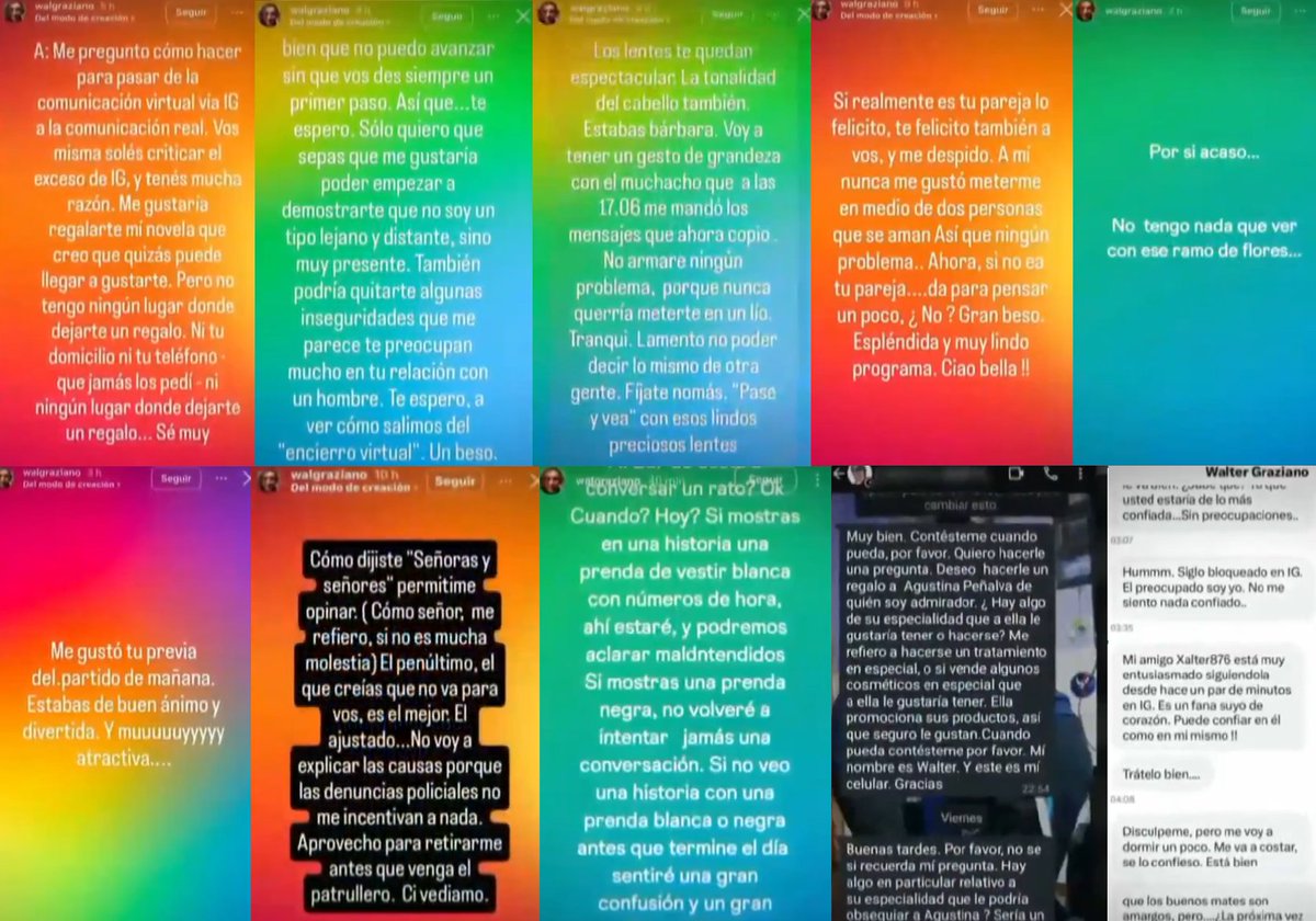 Estos son algunos de los mensajes que le habría enviado el economista Walter Graziano a la periodista Agustina Peñalva, que lo denunció por acoso.