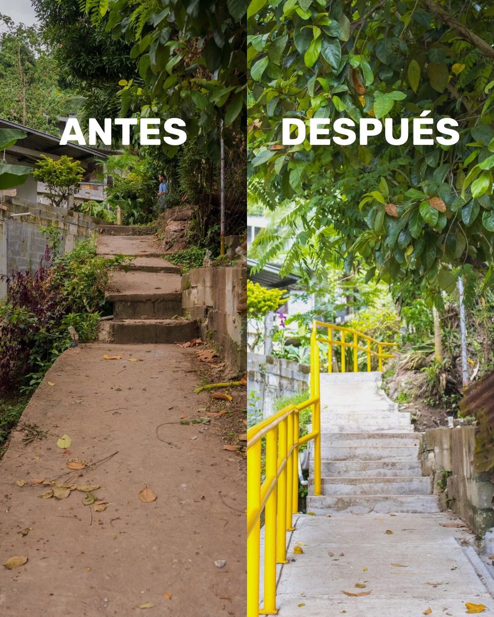 Irma Hernández (@irmaehernandezb) on Twitter photo 