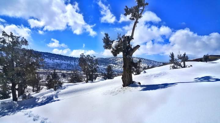 abjaan1's tweet photo. My city Ziarat https://t.co/hvyEV0WYzR