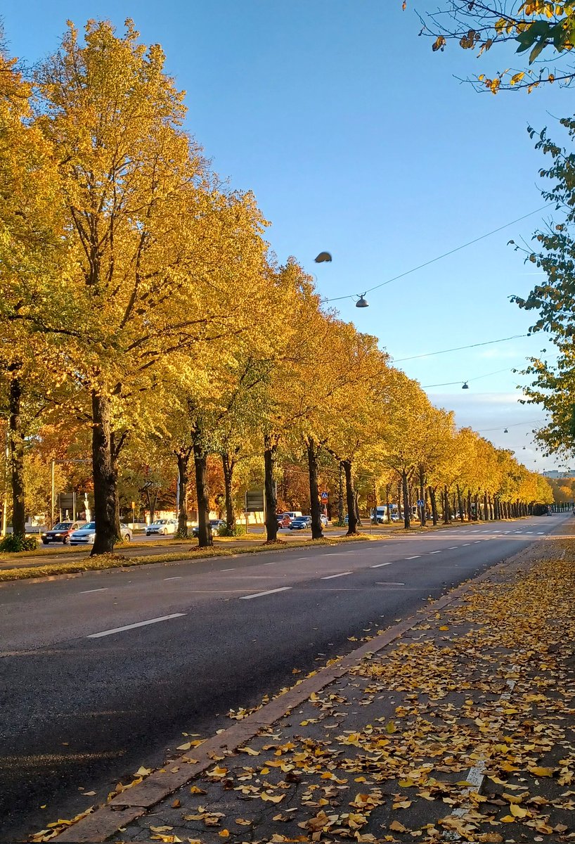 Helsingin betoniviidakkoa