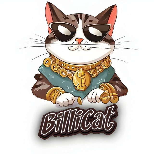 CSWONG18's tweet photo. Dream: A man with long lists of CAT porttolio (4/Sept/25)
Understanding came CAT means CAPITAL ASSET TRANSFER. Is Billicat||Billex Exchange-the vehicle for wealth transfer to many.

$BCAT CA: 0x47a9b109cfb8f89d16e8b34036150ee112572435
Now Price: $0.02335
Now MCap: $1.67m
NFA DYOR https://t.co/DQzxtWQNCI