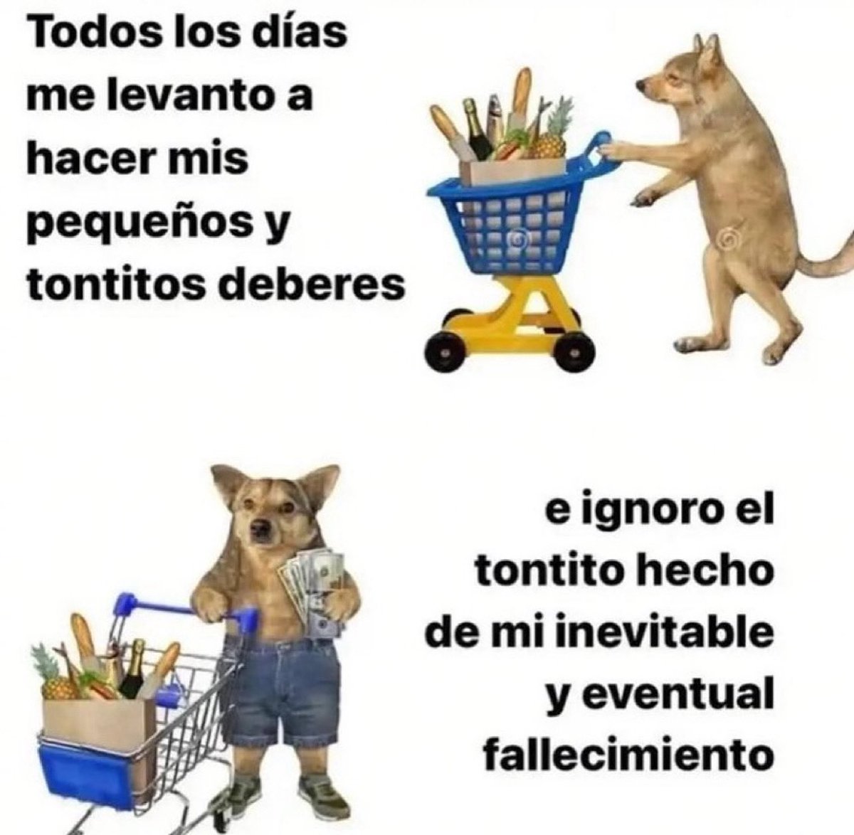 emociones amarillas (@conoloracigarro) on Twitter photo 