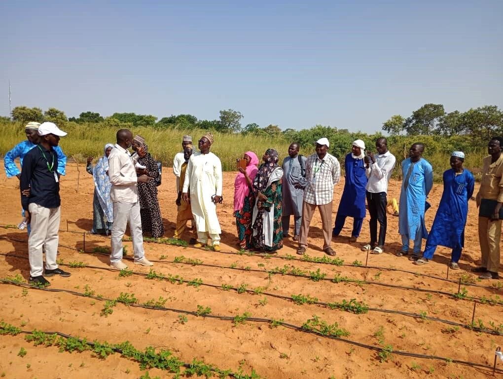 Visite guidée dans les laboratoires de semences, les installations et les parcelles de <a href="/ICRISAT/">ICRISAT</a> le 15 oct 2025. C'est dans le cadre de la formation organisée par #SoilValuesProgram en faveur des partenaires terrains, sur la production et la gestion des semences. 
<a href="/IFDCGlobal/">IFDC</a>