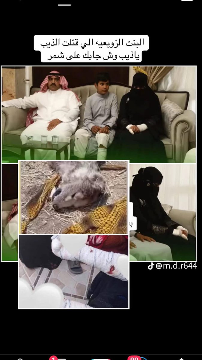 الطنايا tweet media