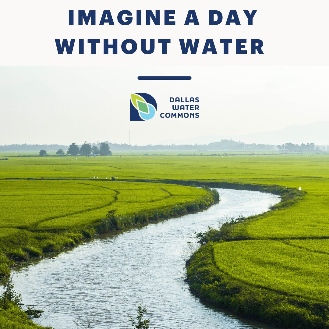 DallasCommons's tweet photo. #ImagineADayWithoutWaterDay #DallasWaterCommons #DallasCommons #TheCommons #education #citypark #waterconservation #Sustainability #environment #wetlands #urbanplanning #Parks #DallasParksCoalition #waterlab #urbanwater #nature #NatureOfUrbanWater #texasrunsonwater https://t.co/df5Ay6DjNd