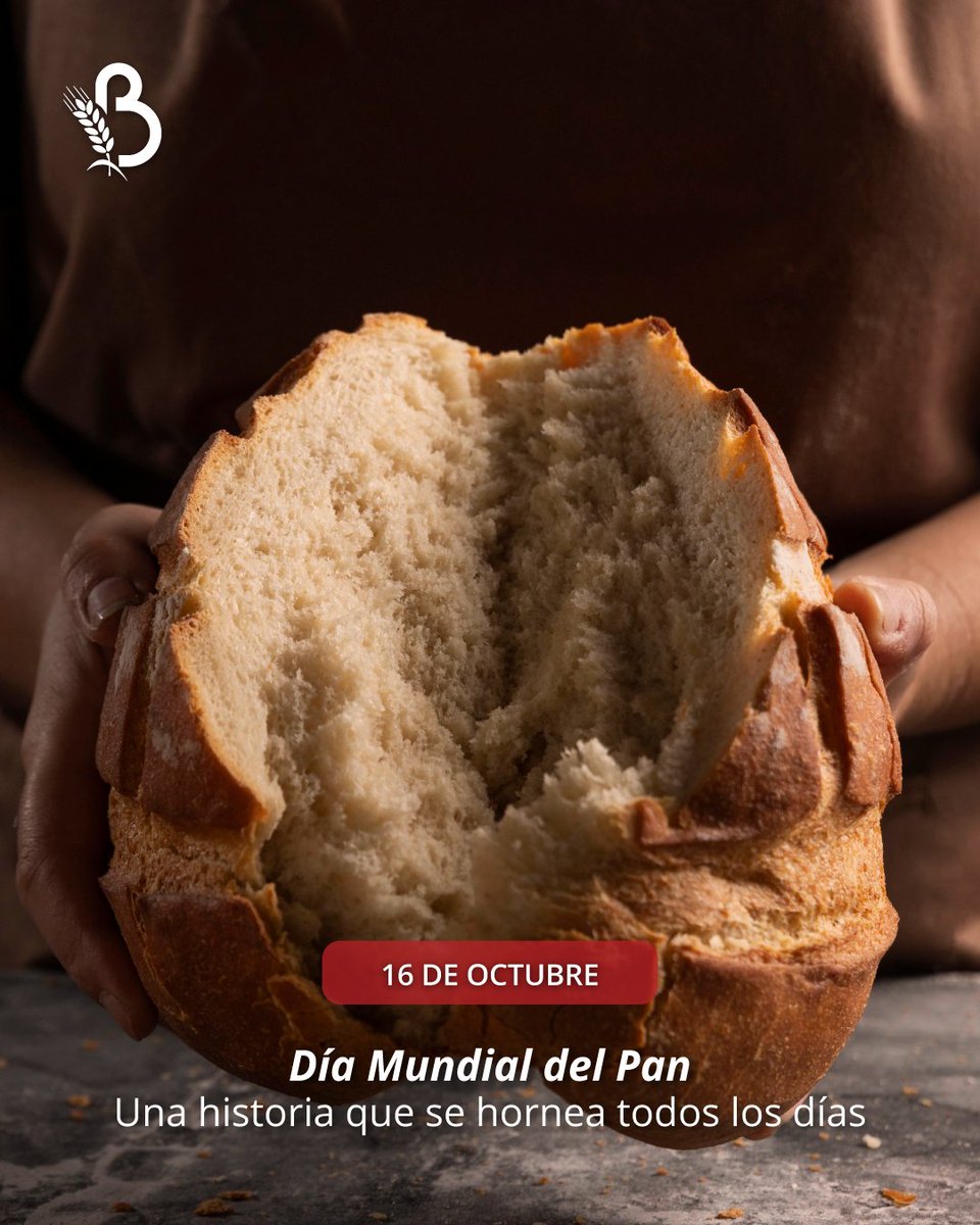 MolinosBalaton's tweet photo. Desde hace siglos, el pan acompaña a las personas en sus mesas y en sus historias.

Hoy agradecemos a quienes lo elaboran con compromiso, y a quienes lo eligen con confianza.

De la mejor harina, los mejores productos.

#MolinosBalaton #DíaMundialDelPan #Panadería https://t.co/u4LjdS8dAn