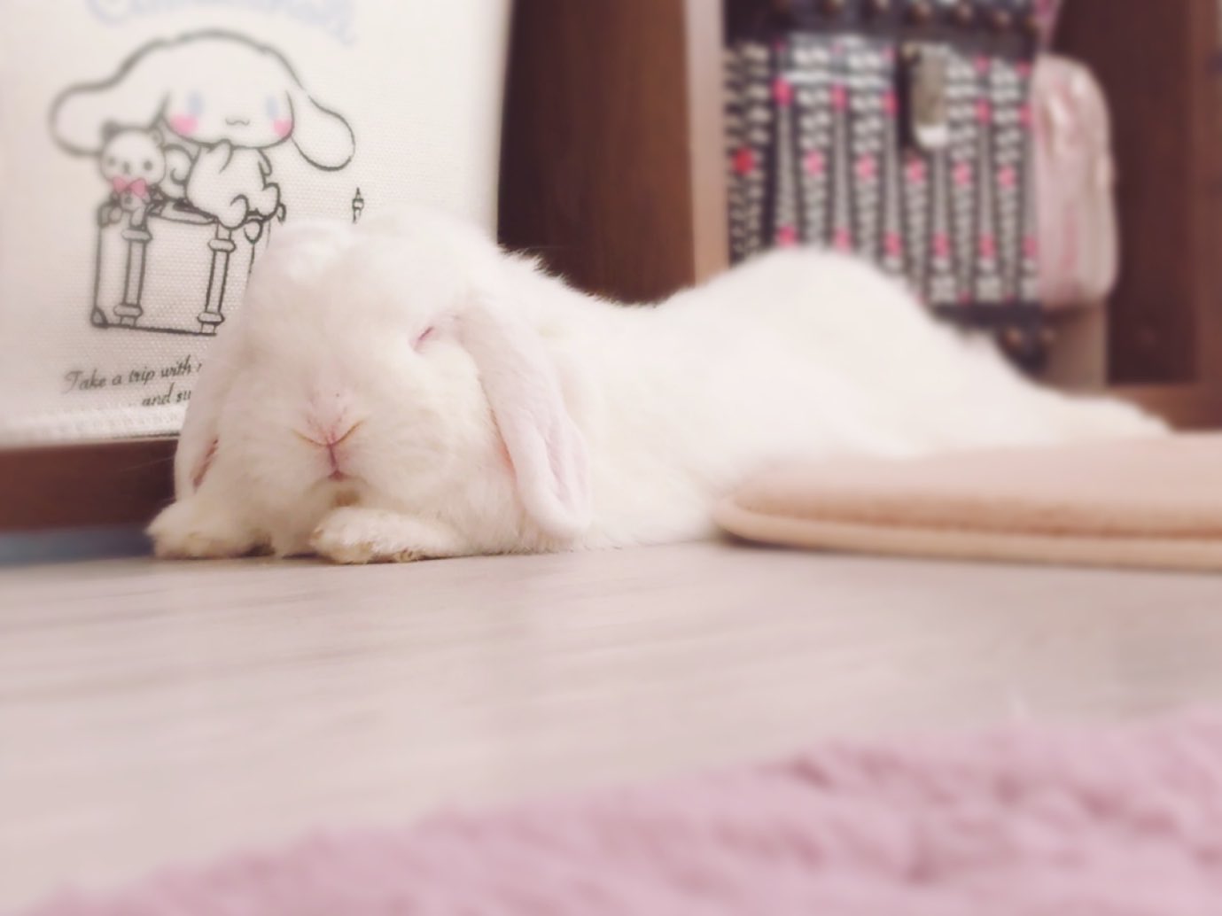 ECLAIR BUNNY🐰エクレア（うさぎ作家） (@eclairbunny) / X