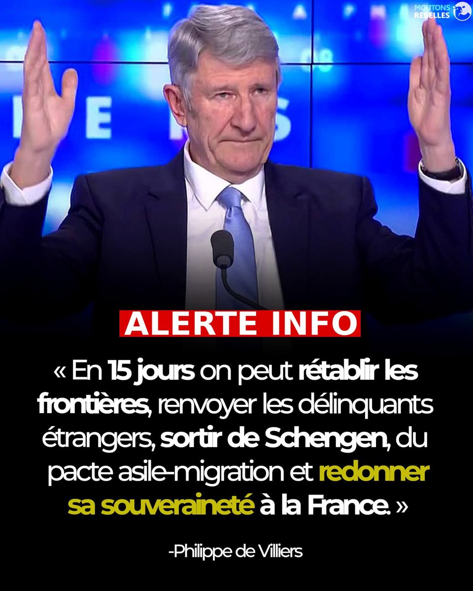 Napo Léon tweet media