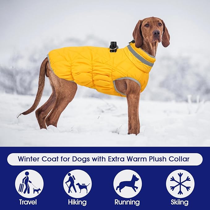 ComputerPal's tweet image. FUAMEY Dog Coat for Large Dogs,Waterproof Dog Winter Jacket with Harness Built in Puppy Cold Weather Coats Reflective Pet Vest with Zipper Warm Fleece Dogs Snowsuit Windproof Yellow 2XL geni.us/iXVD#Amazon via @Amazon
#ad #dogs #winter #fashion #fypシ