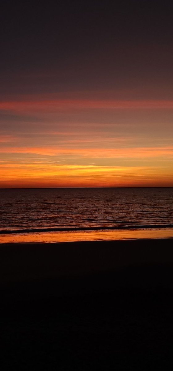 2025pics's tweet image. 