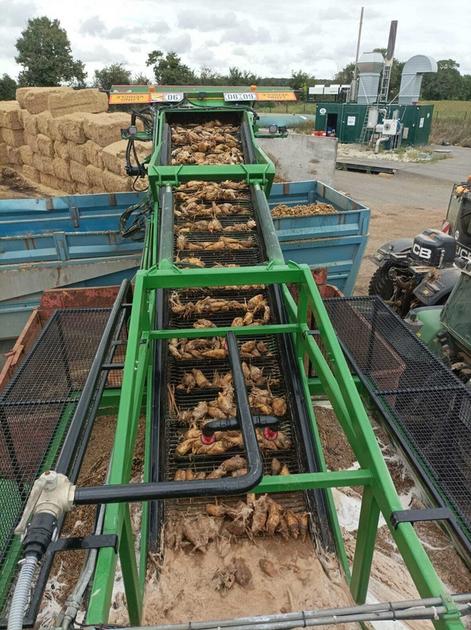 Une machine capable de laver et épierrer les betteraves  dlvr.it/TNjhql