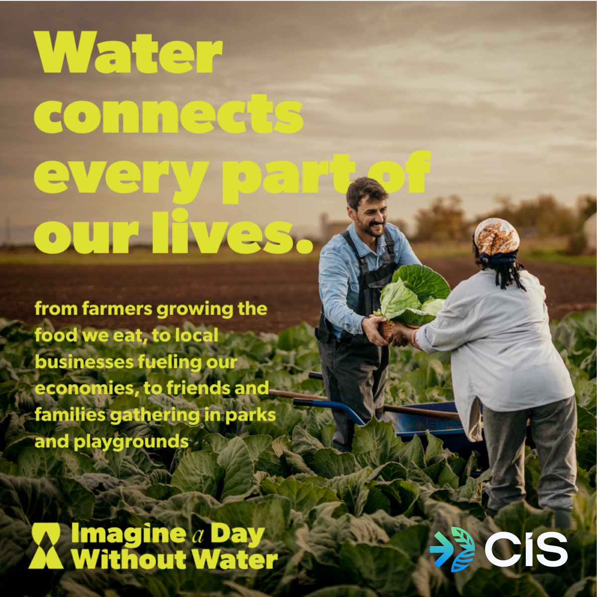 CIS, LLC tweet media