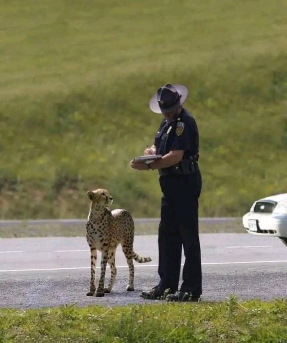 “Speeding? I was just jogging”