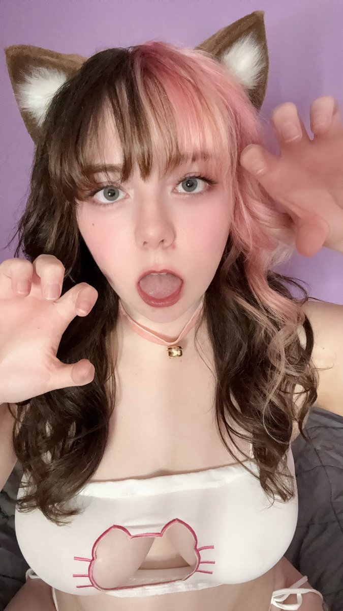 Princess tweet media