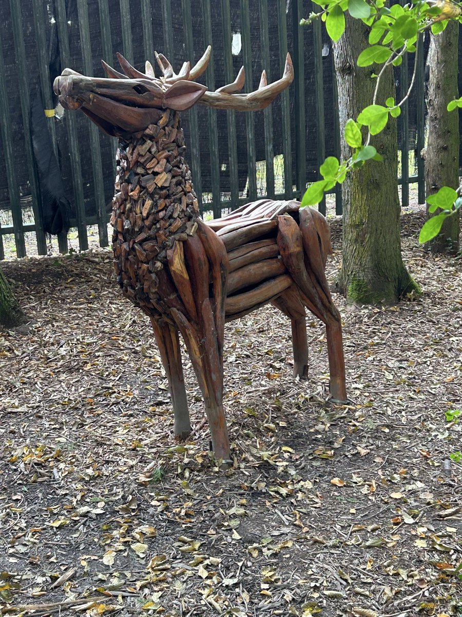 Nate Stein tweet media