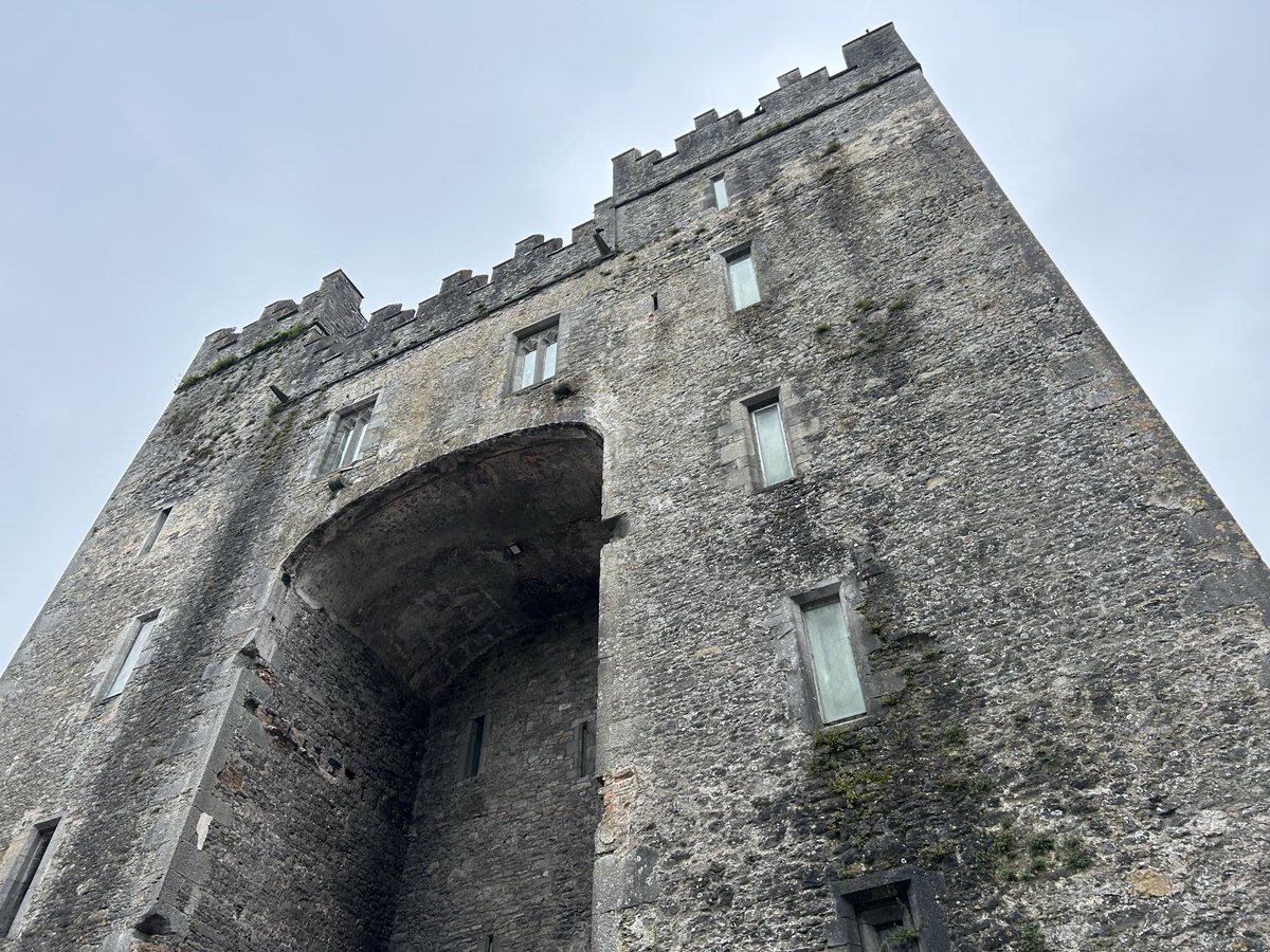 Nate Stein tweet media