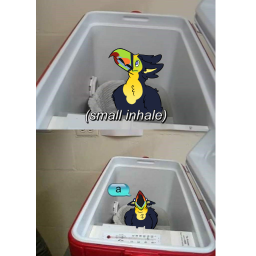 Hatch 🐀 tweet media