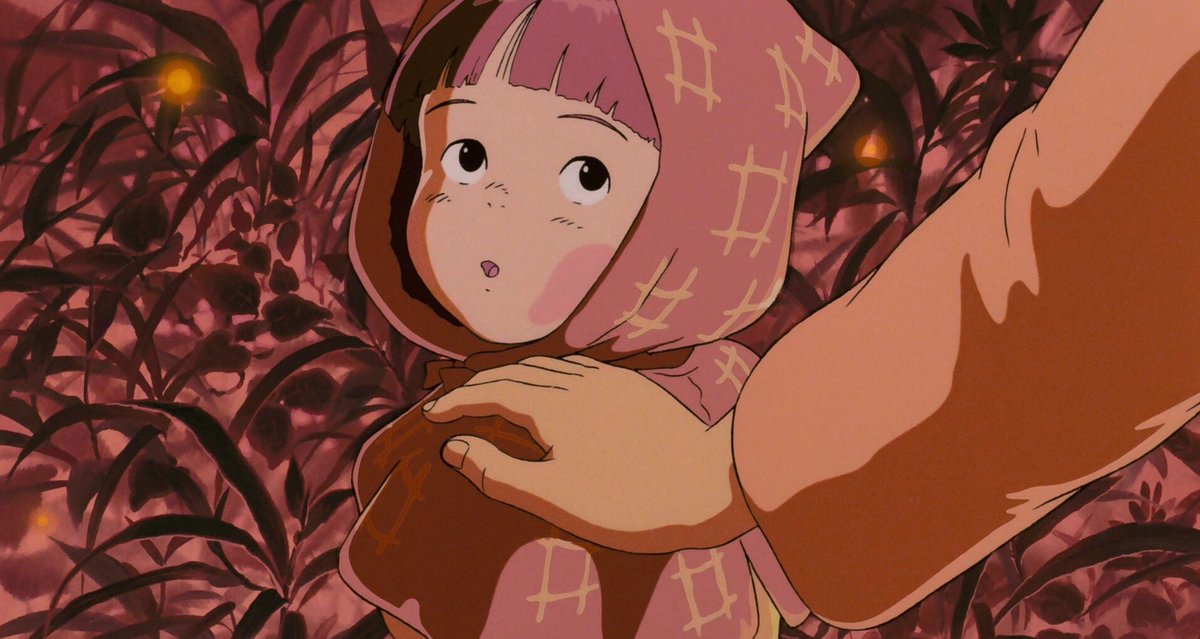 Nature Videos tweet media